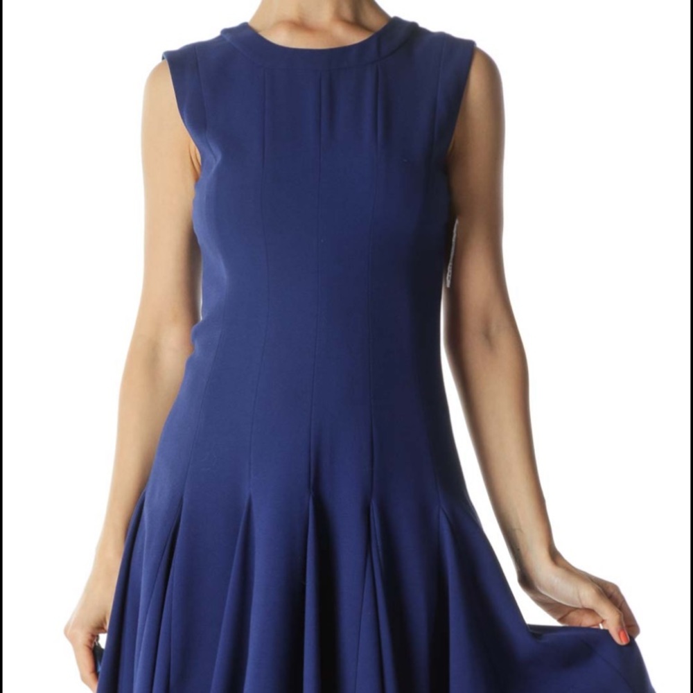BCBGMAXAZRIA Drop Waist Dress | size 4